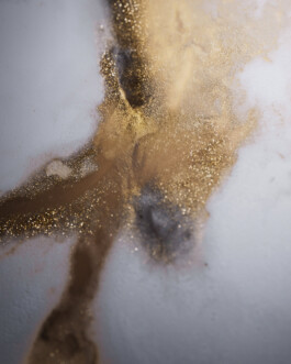 Parasol Island - Integrated Digital Studio