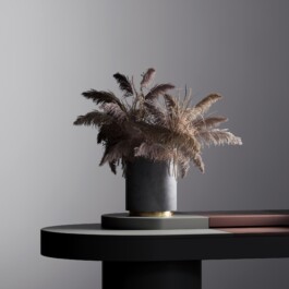 Parasol Island - Integrated Digital Studio