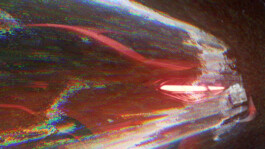 Parasol Island - Integrated Digital Studio