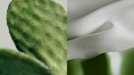 Parasol Island - Integrated Digital Studio