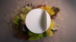 Parasol Island - Integrated Digital Studio